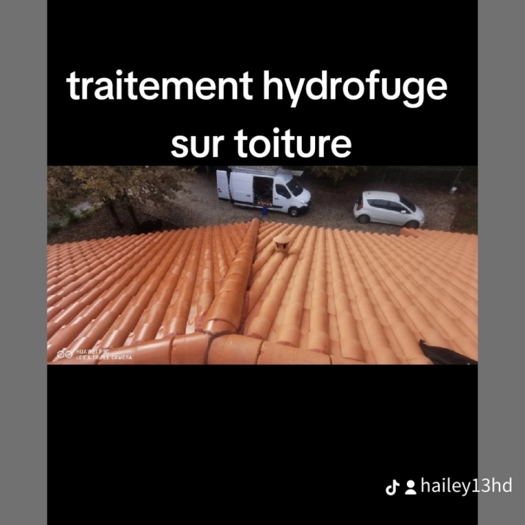 Tarif nettoyage toiture hydrofuge Caussade : Nouveaux prix attractifs à partir de 10€/m² avec LAFLEUR Teddy à Montauban, Montauban, LAFLEUR Teddy